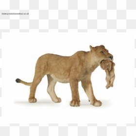 Transparent Animal Kingdom Png - Lioness Png, Png Download - lioness png