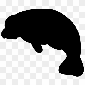 Silhouette Manatee Clipart, HD Png Download - manatee png