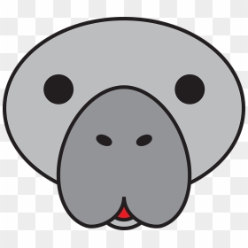 Draw A Manatee Face Step, HD Png Download - manatee png