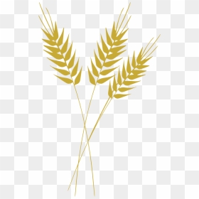 Thumb Image - Black And White Wheat, HD Png Download - trigo png