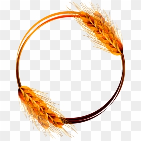 Trigo , Png Download - Clipart Wheat, Transparent Png - trigo png