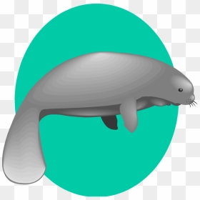 Free Manatee Clipart - Fancy Sea Cow Png, Transparent Png - manatee png