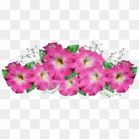 รูป ดอกไม้ ติด บอร์ด, HD Png Download - gardener png