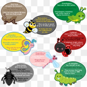 Bugs, HD Png Download - bugs png