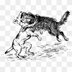 Dogs Fighting Clip Arts - Two Dogs Fighting Clipart, HD Png Download - fighting png