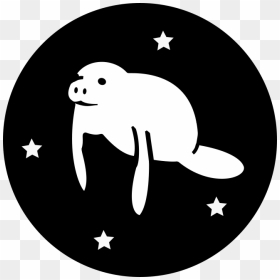 Manatee Clipart Svg - Branding Icon Png, Transparent Png - manatee png