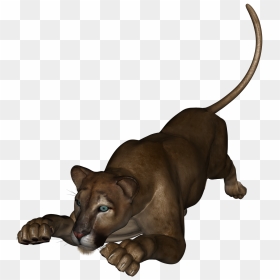 This Is The Lioness From Daz Studio - Companion Dog, HD Png Download - lioness png