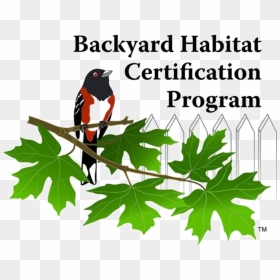 Hab Cert - Backyard Habitat Portland, HD Png Download - gardener png