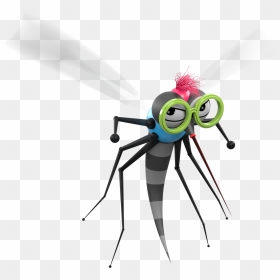 Get To Know Our Crazy Bugs - Black Widow, HD Png Download - bugs png