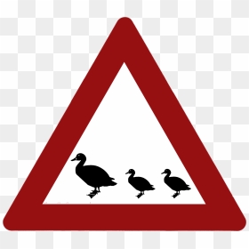 Ducks Crossing The Road Sign - Ebro Delta, HD Png Download - ducks png