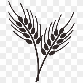 Cornfield Drawing Trigo Png Library Library - Wheat Grass Clipart Black And White, Transparent Png - trigo png