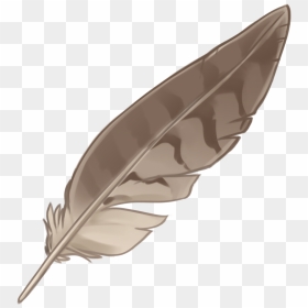 Eagle Feather Law Portable Network Graphics Native - Native American Feather Png, Transparent Png - eagle feather png