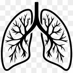 Lungs Png Pic - Lung Black And White, Transparent Png - lungs png