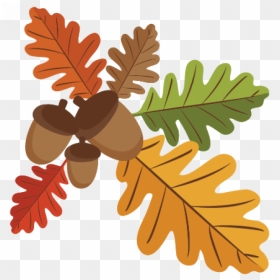 Acorn And Leaves Clipart, HD Png Download - oak leaf png
