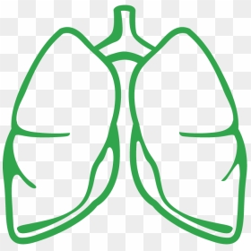 Lungs Clipart Lung Transplant, Lungs Lung Transplant, HD Png Download - lungs png