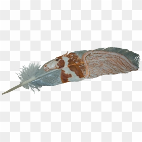 Eagle Feather Png, Transparent Png - eagle feather png
