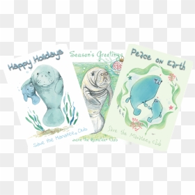 Illustration, HD Png Download - manatee png