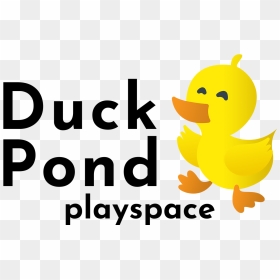 Duck, HD Png Download - ducks png