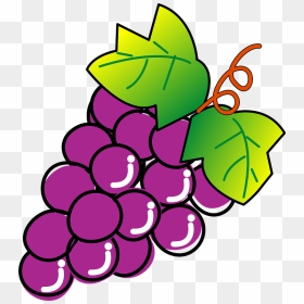Grape Fruits Food Clipart - ぶどう の イラスト 無料, HD Png Download - food clipart png