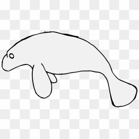 Illustration, HD Png Download - manatee png