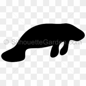 Manatee Clipart Svg - Manatee Silhouette Clipart, HD Png Download - manatee png