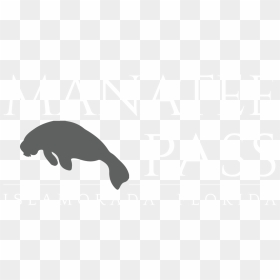 Puma , Png Download - Fish, Transparent Png - manatee png