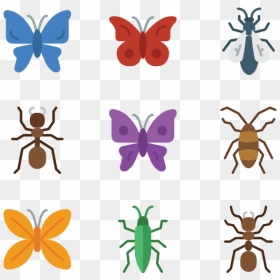 Insect, HD Png Download - bugs png