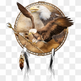 Dream Catcher- Spirit Of The Red Fox, HD Png Download - eagle feather png