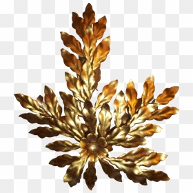 Tree , Png Download - Artificial Flower, Transparent Png - oak leaf png