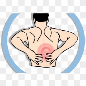 Muscular System Png - Back Pain Illustration, Transparent Png - muscle man png
