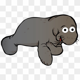 Manatee Png, Transparent Png - manatee png