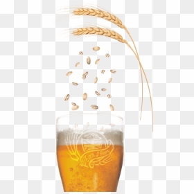 Calling All Malting Barley Growers Free Beer Enter - Barley Beer Png, Transparent Png - barley png