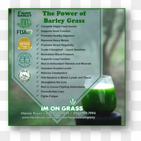 Transparent Barley Png - Sante Barley, Png Download - barley png