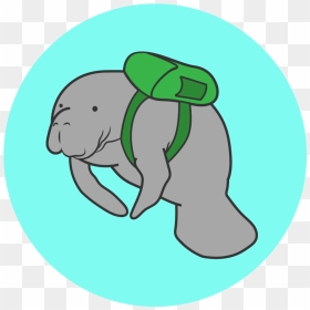 An Illustrated Manatee Wears A Backpack - Manatee Cartoon Gif, HD Png Download - manatee png
