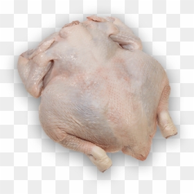Transparent Chicken Drumstick Png - Turkey Meat Transparent, Png Download - drumstick png