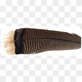 Feather Craft Feather Craft Large Wild Turkey Tail - Turkey Feather Png, Transparent Png - eagle feather png