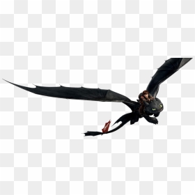 Hiccup And Toothless Png, Transparent Png - toothless png