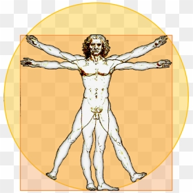 File - Vitruvian-icon - Leonardo Da Vinci T Pose, HD Png Download - muscle man png