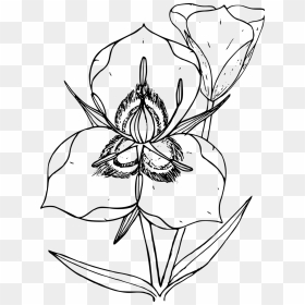 Utah State Flower, HD Png Download - wildflower png