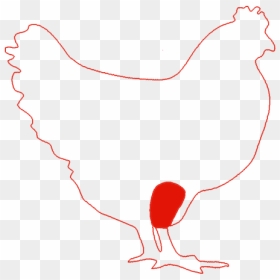 Rooster, HD Png Download - drumstick png
