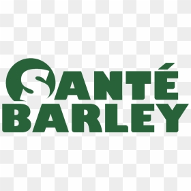 Sante International Inc Logo, HD Png Download - barley png