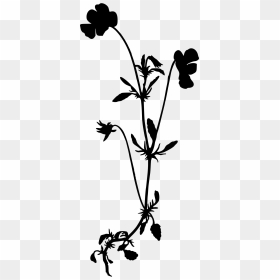 Heartsease Silhouette Big Image Png Silhouette Of A - Wild Flower Svg Free, Transparent Png - wildflower png