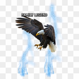 #freetoedit#eemput #png #eagle #lightning #blue - 1080p Eagle Png Hd, Transparent Png - eagle feather png