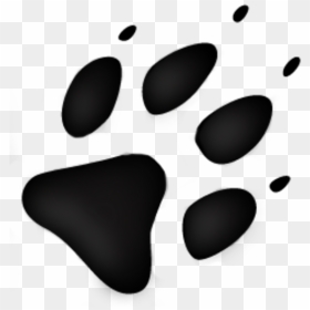 Wolf Track - Wolf Footprints Clip Art, HD Png Download - wolf paw png