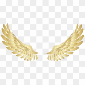 Transparent Angel Wings - Transparent Background Angel Wings Clipart, HD Png Download - realistic angel wings png
