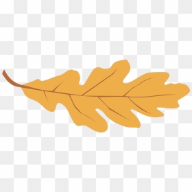 Fall Leaf Graphic, HD Png Download - oak leaf png