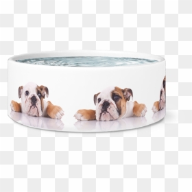 Large Dog Bowl, English Bulldogs Designer Dog Bowls - Australian Bulldog, HD Png Download - dog bowl png