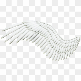 Angel Wing With Transparent Background , Png Download - Silver Angel Wings Png, Png Download - realistic angel wings png