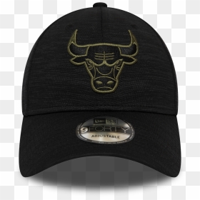 Chicago Bulls Png, Transparent Png - chicago bulls png