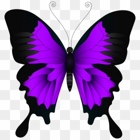 Purple Butterfly Png - Pink Butterfly Clip Art, Transparent Png - purple butterfly png